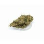 Sativa Poland Susz CBD Super Silver Haze - 5